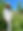 IMG_1115.jpeg